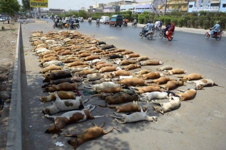 karachi