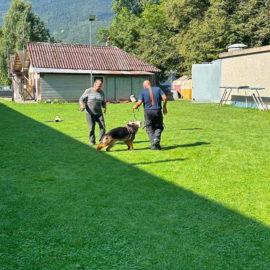 Le Club BA Le Jorat effectue un entraînement au cynoclub de Monthey