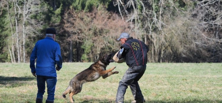 Concours ouvert du samedi 23 mars 2019