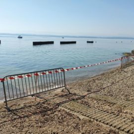 Cyanobactérie, baigneurs évacués et plages fermées