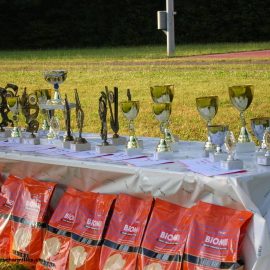 Exposition Internationale de chiens berger allemands à Bressonnaz