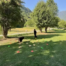 Club du Berger Allemand Martigny