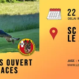 Concours ouvert toutes races, samedi 22 mars 2025