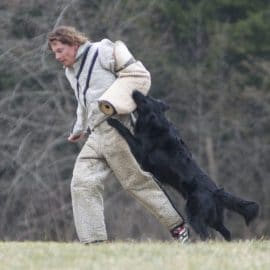 Concours Canin de Printemps 2010