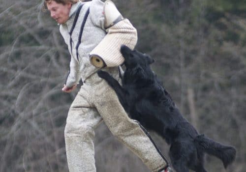 Concours Canin de Printemps 2010