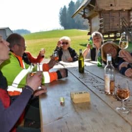 Concours ouvert toutes races 2022