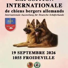 Exposition Internationale de Berger Allemand 2026