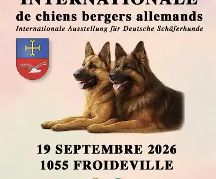 Exposition Internationale de Berger Allemand 2026 Exposition Internationale de Berger Allemand 2026