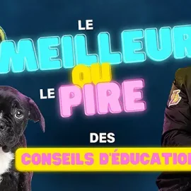 Les PIRES et les MEILLEURS conseils d’éducation canine
