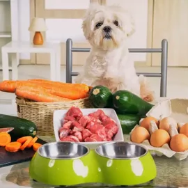Nourrir Son Chien Sainement et Économiquement