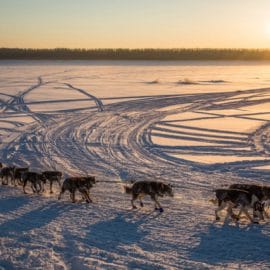 Un projet neuchâtelois sera utilisé en Alaska