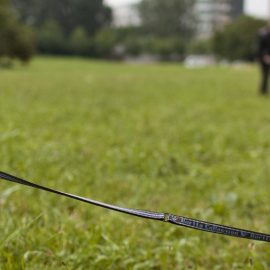 Fini les cours obligatoires pour les proprios de chien