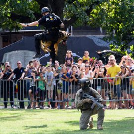 Ces policiers sur quatre pattes ont un flair de fou
