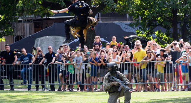 Ces policiers sur quatre pattes ont un flair de fou