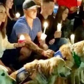 Des chiens de thérapie envoyés auprès des victimes de la fusillade de Las Vegas