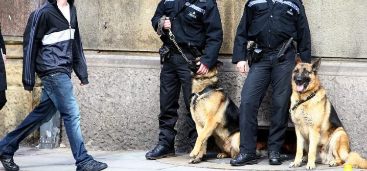 La loi vaudoise sur la police des chiens