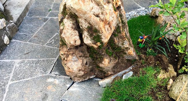Le bloc a atterri là où notre chien fait sa sieste