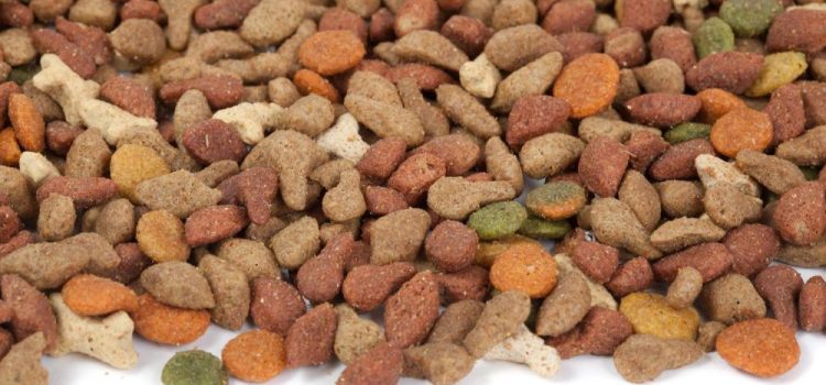 Huit mois ferme pour le vol de croquettes pour chiens