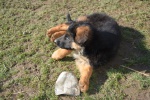 DSC_7262.jpg