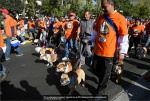 bulldogs02.jpg