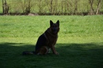 DSC_7833.jpg