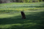DSC_7980.jpg