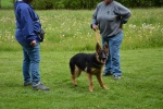 DSC_8037.jpg