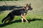 DSC_8812.jpg