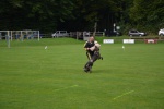 DSC_1004.jpg