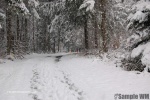 DSC_0037a.jpg