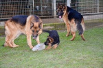 DSC_2713.jpg