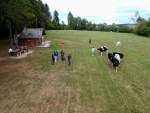 DJI_0122.jpg