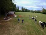 DJI_0124.jpg