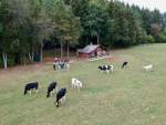 DJI_0125.jpg