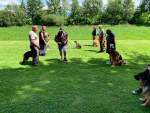 IMG_6659.jpeg