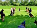 IMG_6661.jpeg