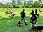 IMG_6668.jpeg