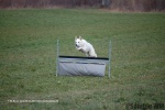 DSC_0163.jpg