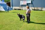 20200809 Internationale Ausstellung für Deutsche Schäferhunde Zürichsee - 37 sur 287.jpeg