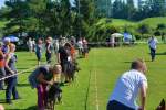 20200809 Internationale Ausstellung für Deutsche Schäferhunde Zürichsee - 109 sur 287.jpeg