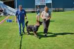 20200809 Internationale Ausstellung für Deutsche Schäferhunde Zürichsee - 155 sur 287.jpeg