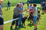 20200809 Internationale Ausstellung für Deutsche Schäferhunde Zürichsee - 168 sur 287.jpeg