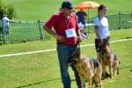 20200809 Internationale Ausstellung für Deutsche Schäferhunde Zürichsee - 216 sur 287.jpeg