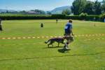 20200809 Internationale Ausstellung für Deutsche Schäferhunde Zürichsee - 244 sur 287.jpeg