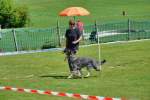20200809 Internationale Ausstellung für Deutsche Schäferhunde Zürichsee - 261 sur 287.jpeg