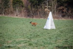 DSC_0220.jpg