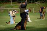 Challenge Romand 2007 - 107 sur 348.jpg