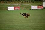Challenge Romand 2007 - 130 sur 348.jpg