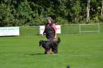 20200905 Challenge Romand du berger allemand 2020 BA Morges - 24 sur 248.jpg