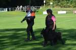 20200905 Challenge Romand du berger allemand 2020 BA Morges - 25 sur 248.jpg